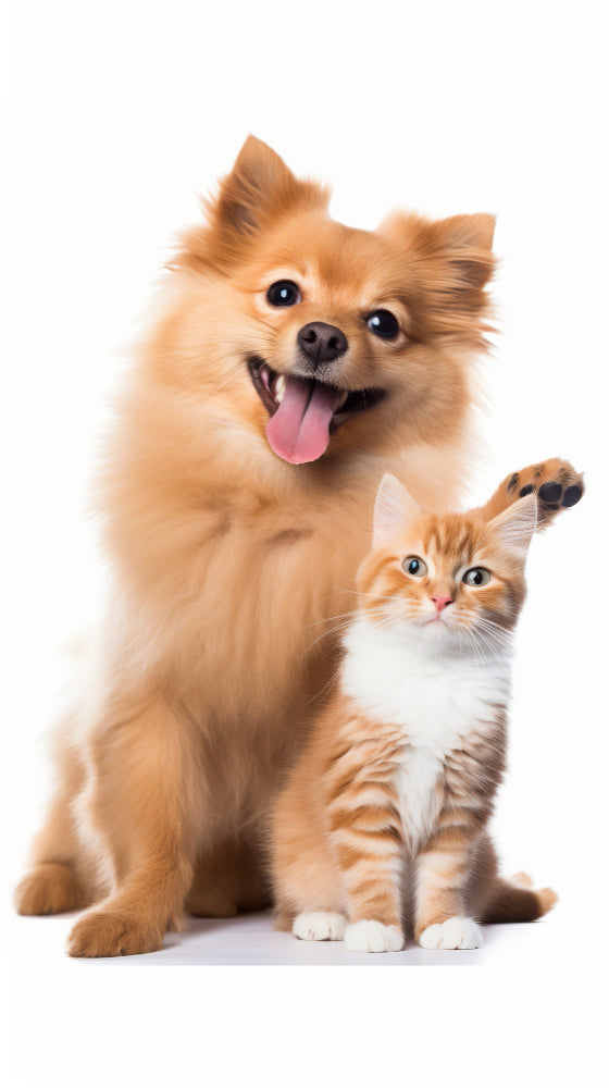 Pet Essentials