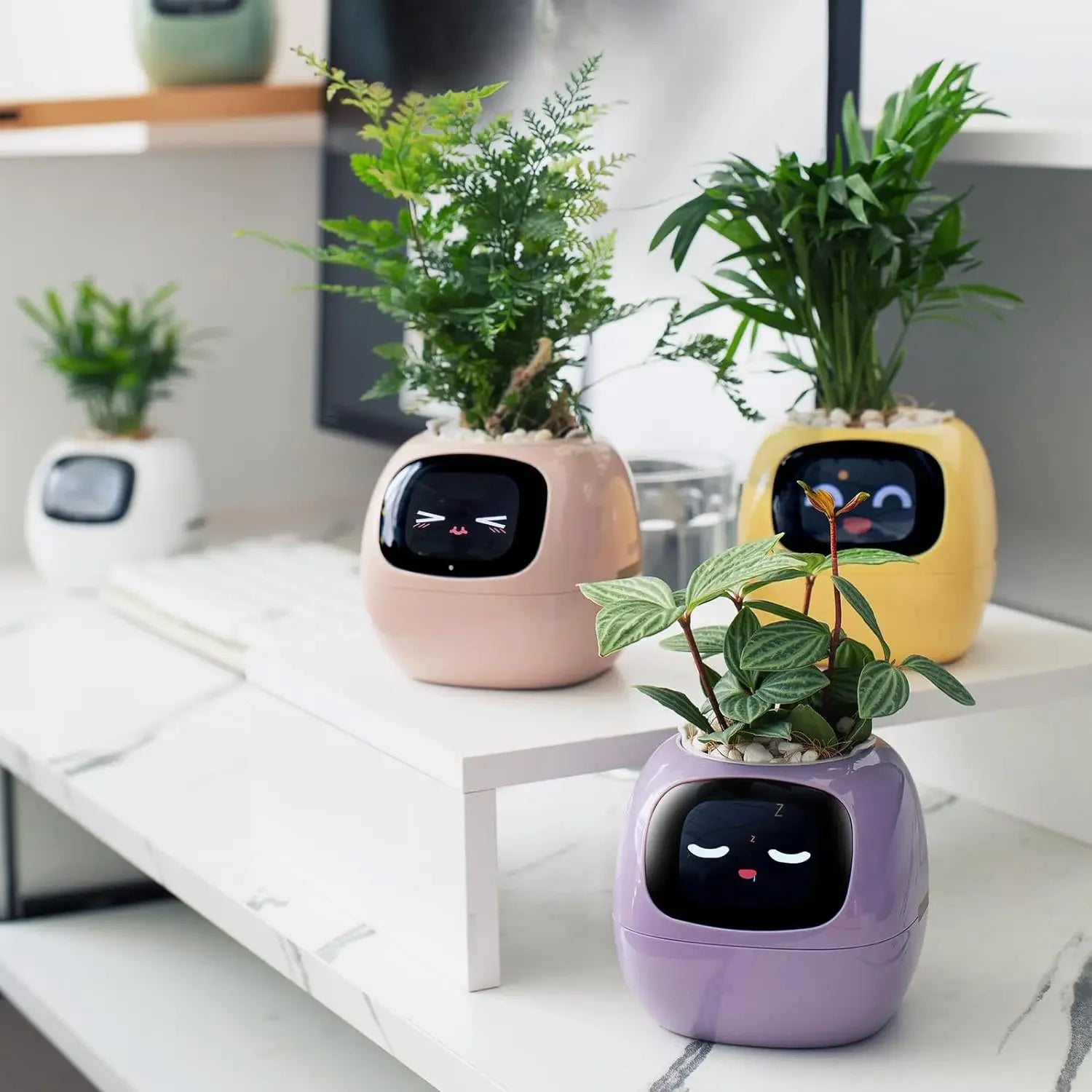 Smart Plant Pot