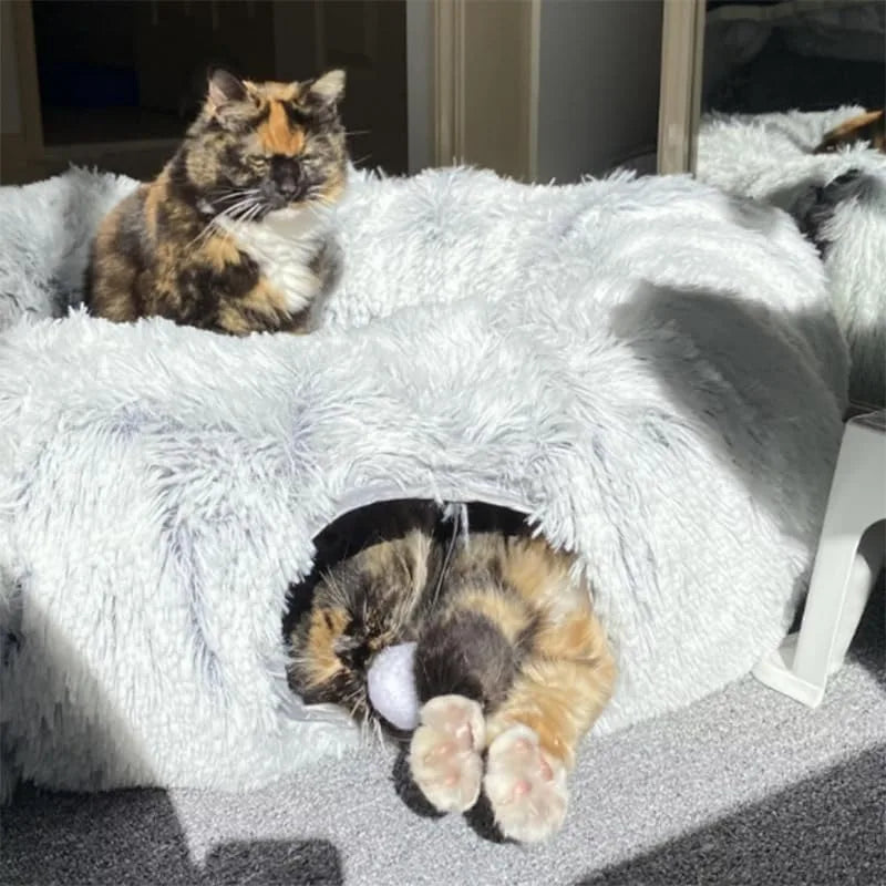 Cat Bed and Tunnel