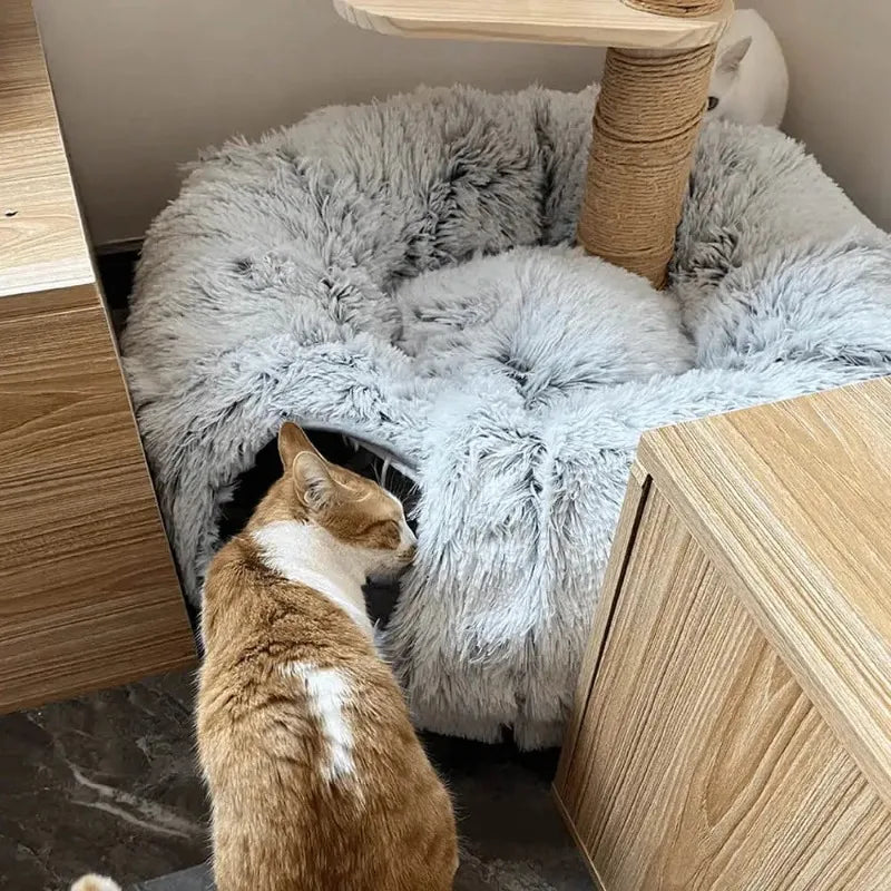 Cat Bed and Tunnel