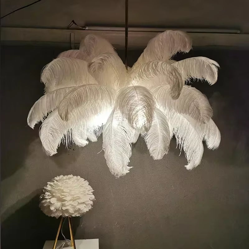 Ostrich Feather Chandelier